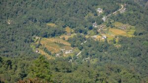 Sikkim plan to recognise traditional forest caretakers awaits clearance from Centre