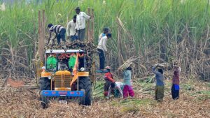 Maharashtra government suspends farm loan recovery in rain-affected tehsils