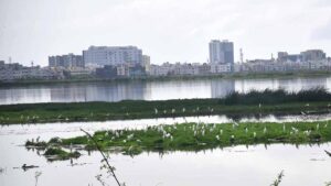 Pallikaranai Ramsar site land dispute: Madras High Court stalls construction of high rise towers till November 12