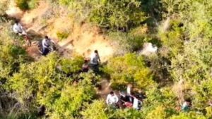 Police deploy drones, raid cockfights organised in forested areas