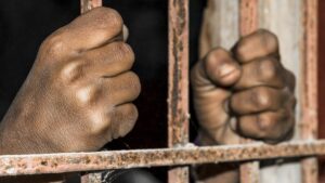 One arrested as Punjab Police busts illegal weapon smuggling module