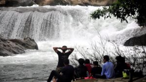 Entrepreneurs seek a roadmap for promoting ecotourism spots in Kozhikode