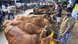 Union Budget 2026: Substantial increase in livestock, fisheries outlay