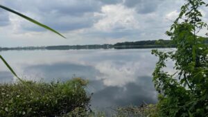 Bengaluru police rescue by city police seconds before drowning in Bellandur Lake