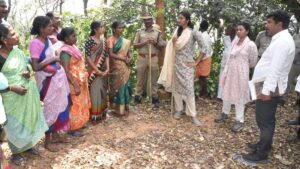 Collector inspects tribal village in The Nilgiris