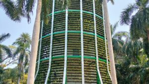 Super tree getting ready at Kalaignar Poonga